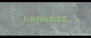 归根到底的成语