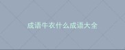 成语牛衣什么成语大全
