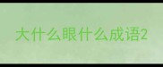 大什么眼什么成语