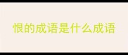 恨的成语是什么成语