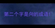 第二个字是向的成语