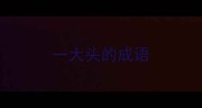 一大头的成语