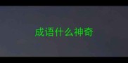 成语什么神奇