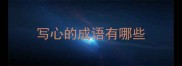 写心的成语有哪些