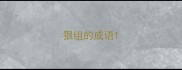 狠组的成语