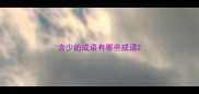 含少的成语有哪些成语