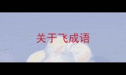 关于飞成语