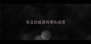 有丑的成语有哪些成语
