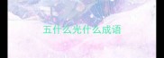 五什么光什么成语