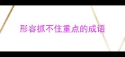 形容抓不住重点的成语