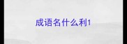 成语名什么利