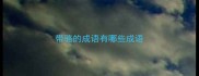 带骆的成语有哪些成语