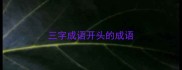 三字成语开头的成语