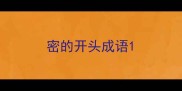 密的开头成语