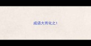 成语大而化之