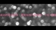 20个活动成功的成语推荐附策划技巧和案例小红书爆款活动指南
