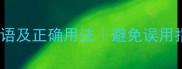 10个形容愚笨的成语及正确用法避免误用指南传统文化科普