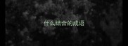 什么结合的成语