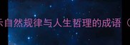 枯荣成败揭示自然规律与人生哲理的成语附用法示例