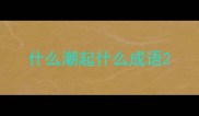 什么潮起什么成语
