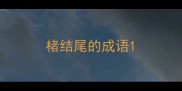 楮结尾的成语