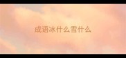 成语冰什么雪什么