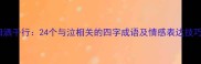 泪洒千行24个与泣相关的四字成语及情感表达技巧