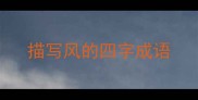 描写风的四字成语
