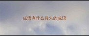 成语有什么救火的成语