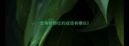 含身体部位的成语有哪些