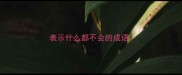 表示什么都不会的成语