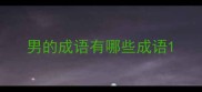 男的成语有哪些成语