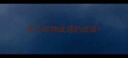 关于动物成语的成语