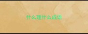 什么理什么成语