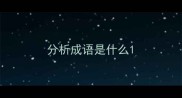 分析成语是什么