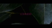 义言的成语