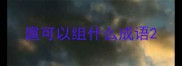 扈可以组什么成语