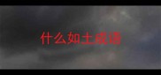 什么如土成语