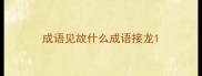 成语见故什么成语接龙
