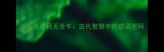 头头是道目无全牛古代智慧中的成语密码