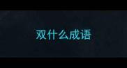 双什么成语