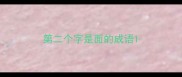 第二个字是面的成语