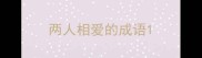 两人相爱的成语