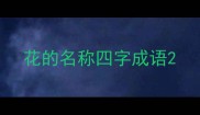 花的名称四字成语