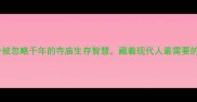 有僧有米一个被忽略千年的寺庙生存智慧藏着现代人最需要的资源管理法则