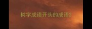 树字成语开头的成语