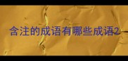 含注的成语有哪些成语