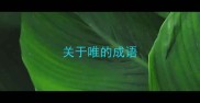 关于唯的成语