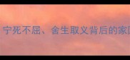 文天祥经典成语宁死不屈舍生取义背后的家国情怀与民族精神