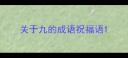 关于九的成语祝福语